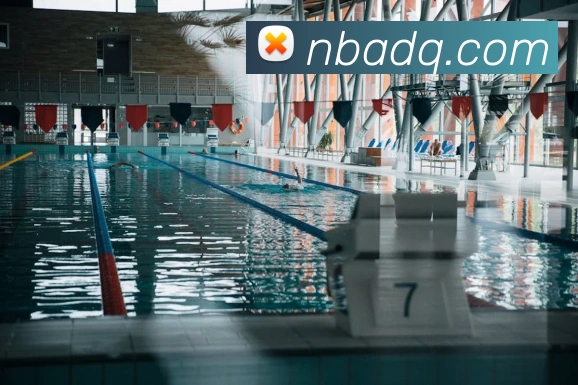 nba投注网站平台生态图